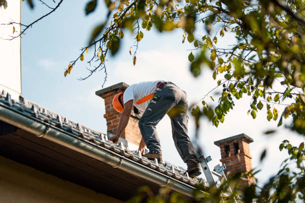 Best Flat Roof Repair Services  in Roberts, WI